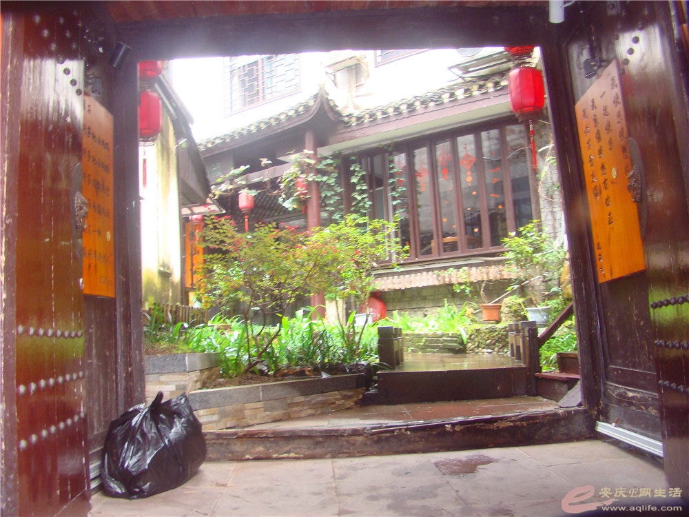 DSC09268_.jpg