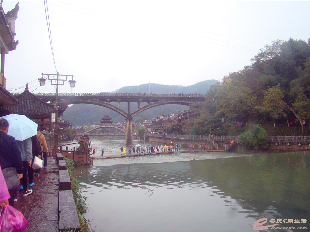 DSC09204_.jpg