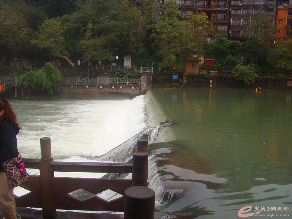 DSC09205_.jpg