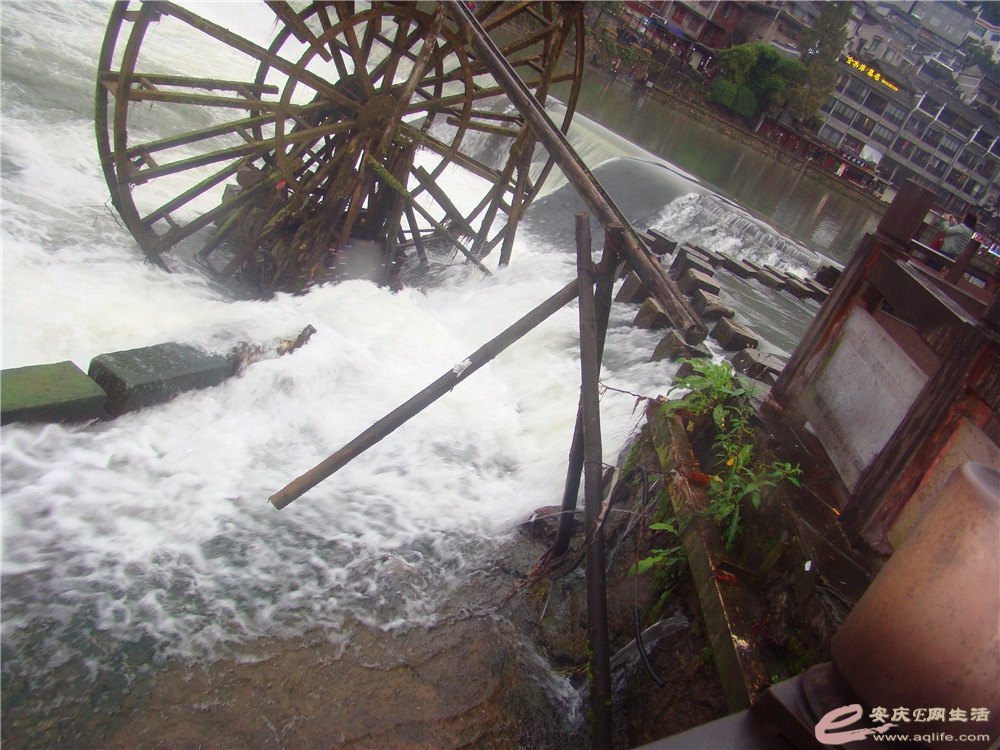 DSC09210_.jpg