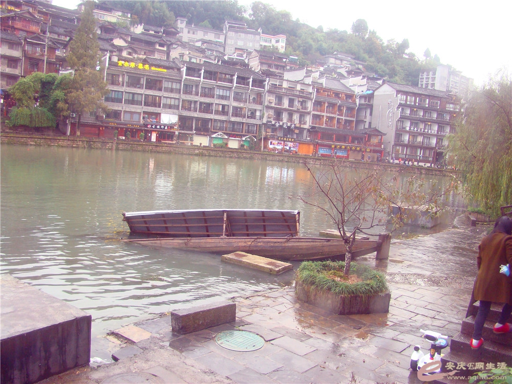 DSC09203_.jpg