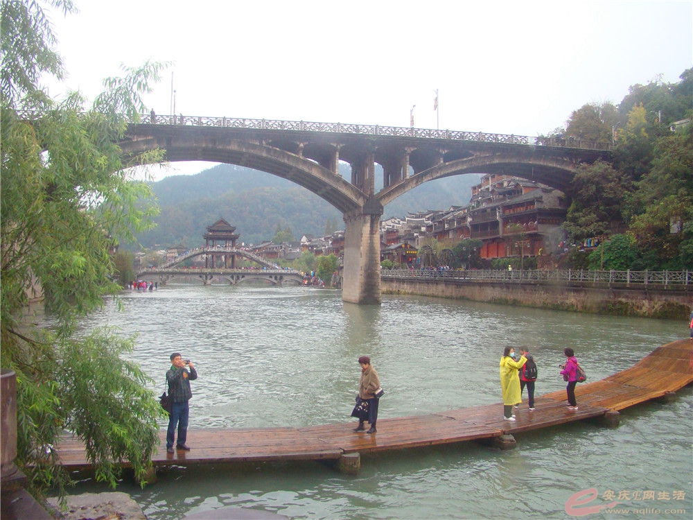 DSC09207_.jpg