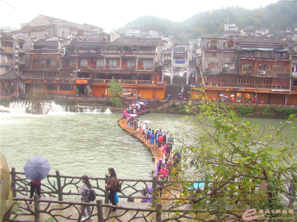 DSC09216_.jpg