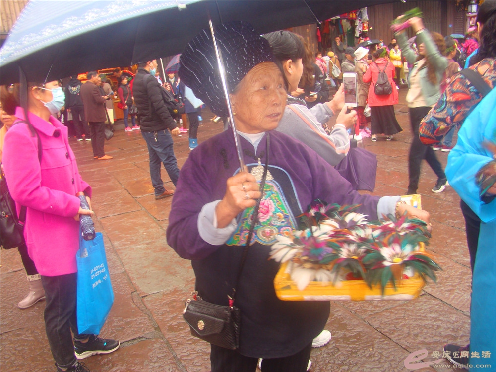DSC09230_.jpg