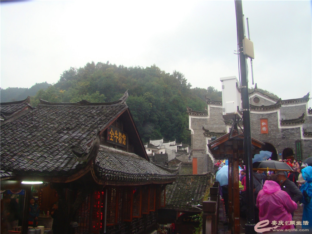 DSC09250_.jpg