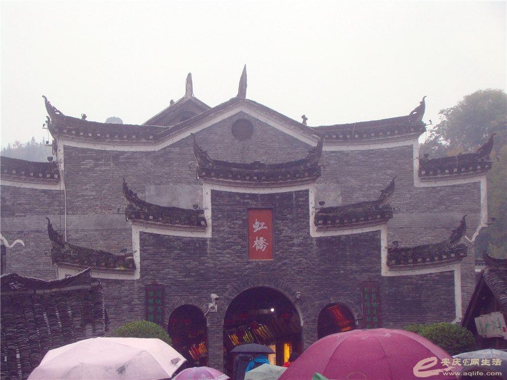 DSC09243_.jpg