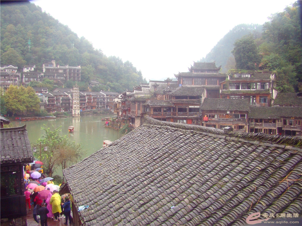 DSC09247_.jpg