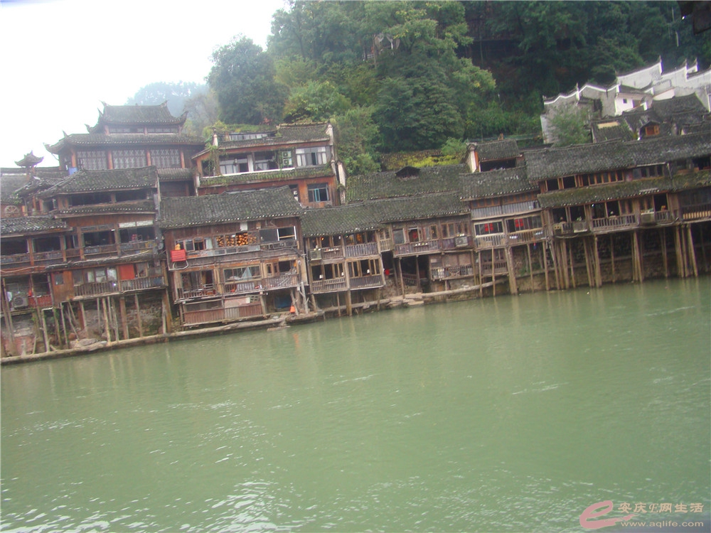 DSC09252_.jpg