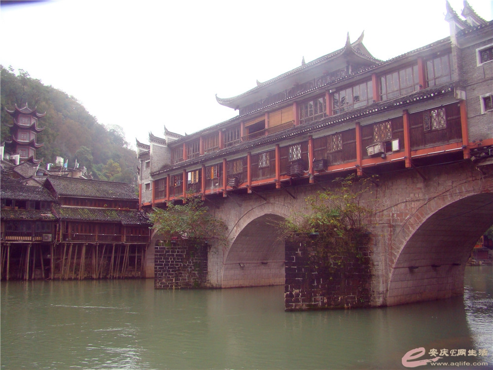 DSC09257_.jpg
