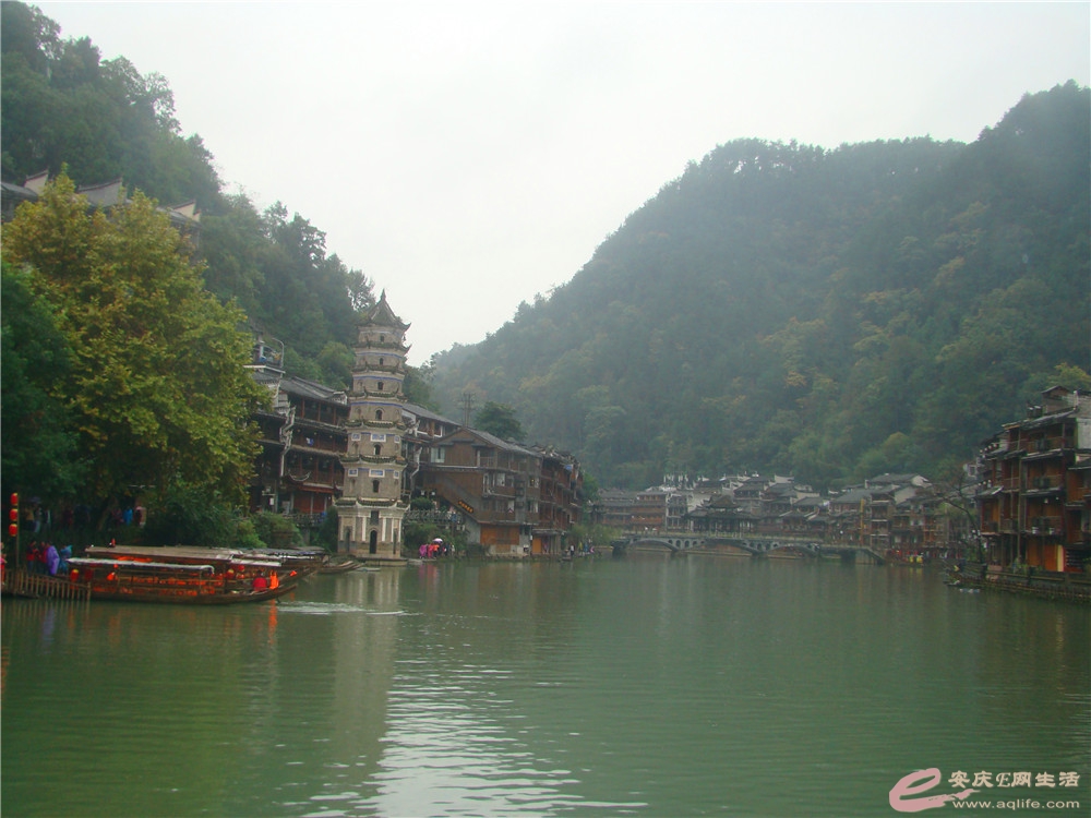 DSC09264_.jpg