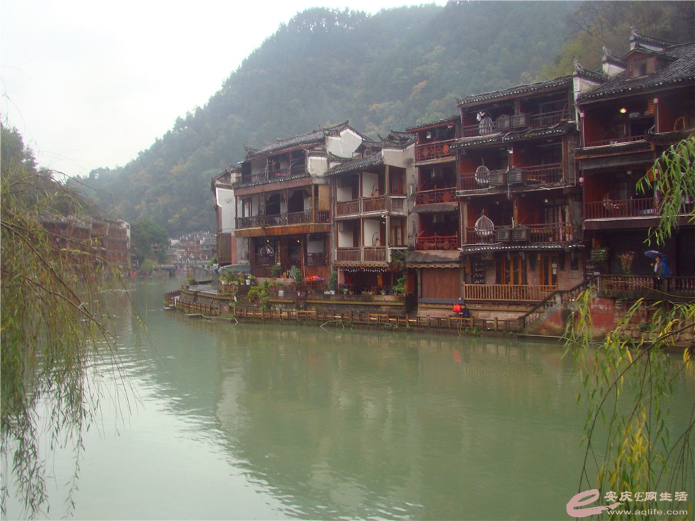 DSC09259_.jpg