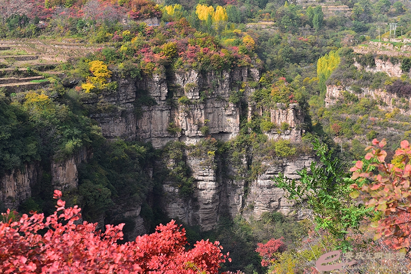 D81_0939.jpg