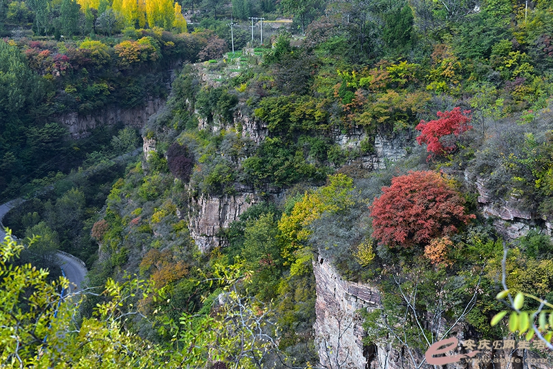 D81_0914.jpg