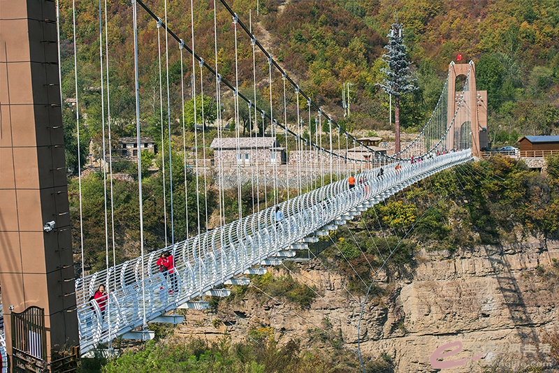 D81_1366.jpg