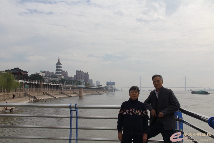 IMG_9566_.jpg