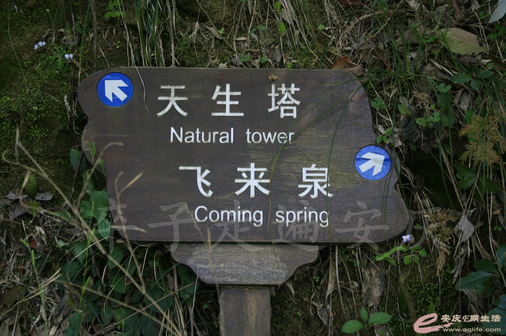 20170324 067.jpg