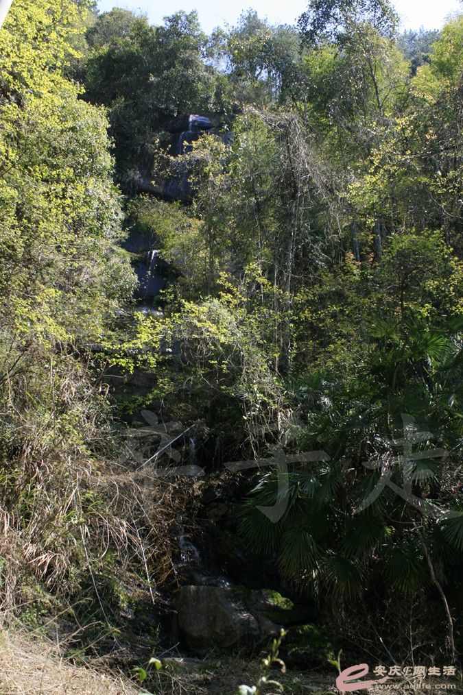 20170324 074.jpg