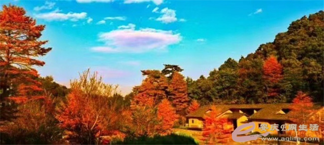 ΢ͼƬ_20201106085436.jpg