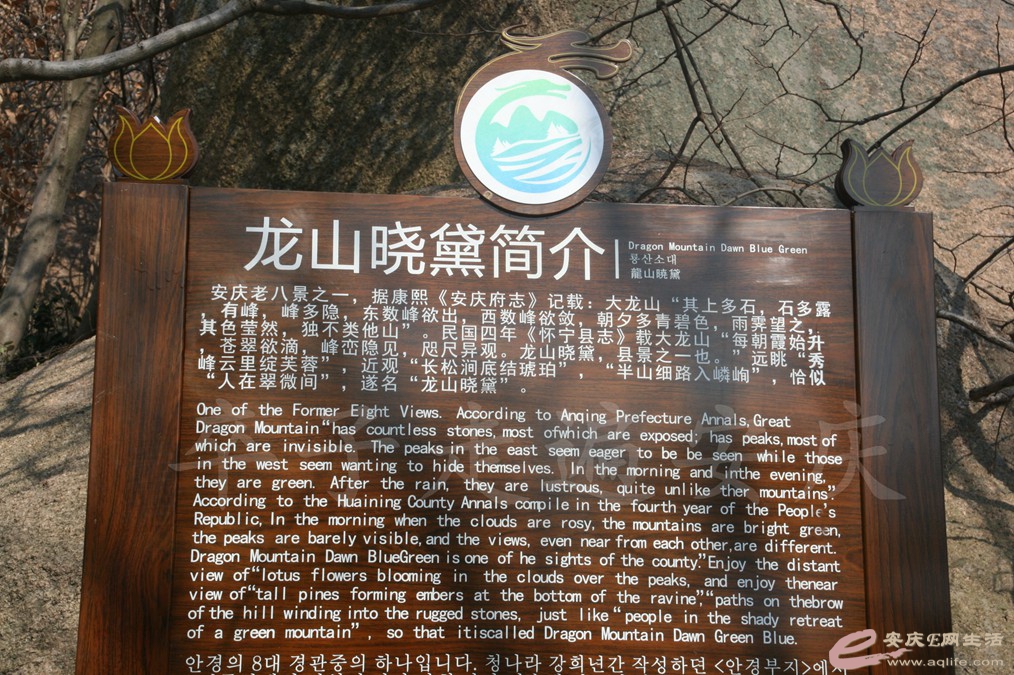 20170128 002.jpg