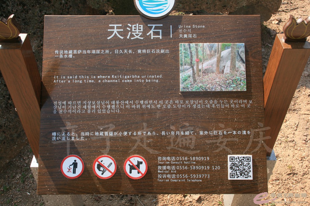 20170128 119.jpg
