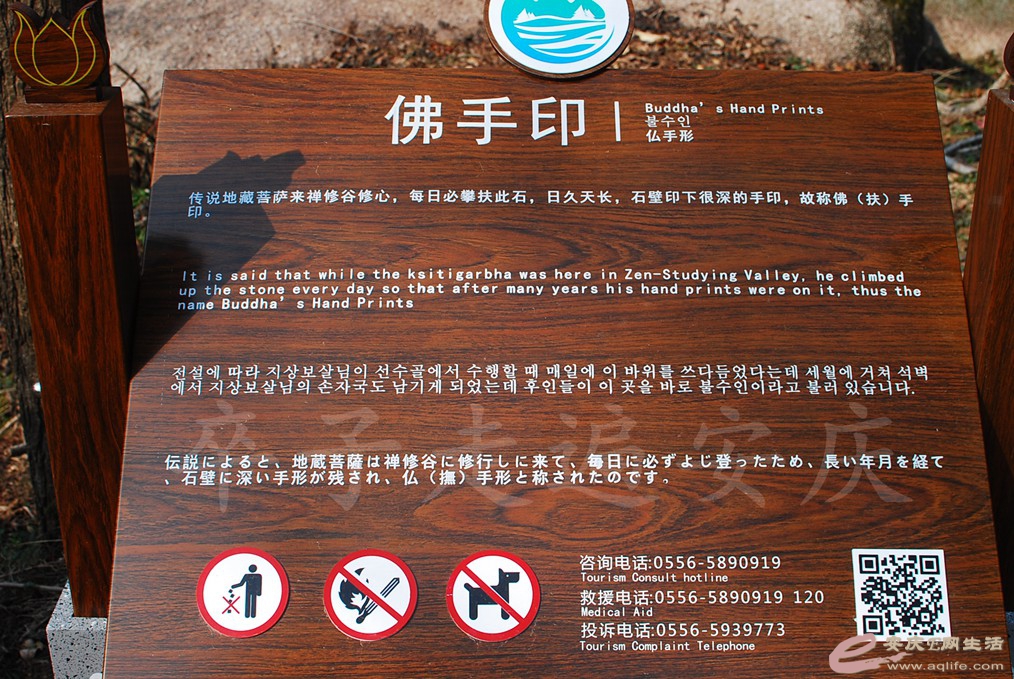 20170128 130.jpg