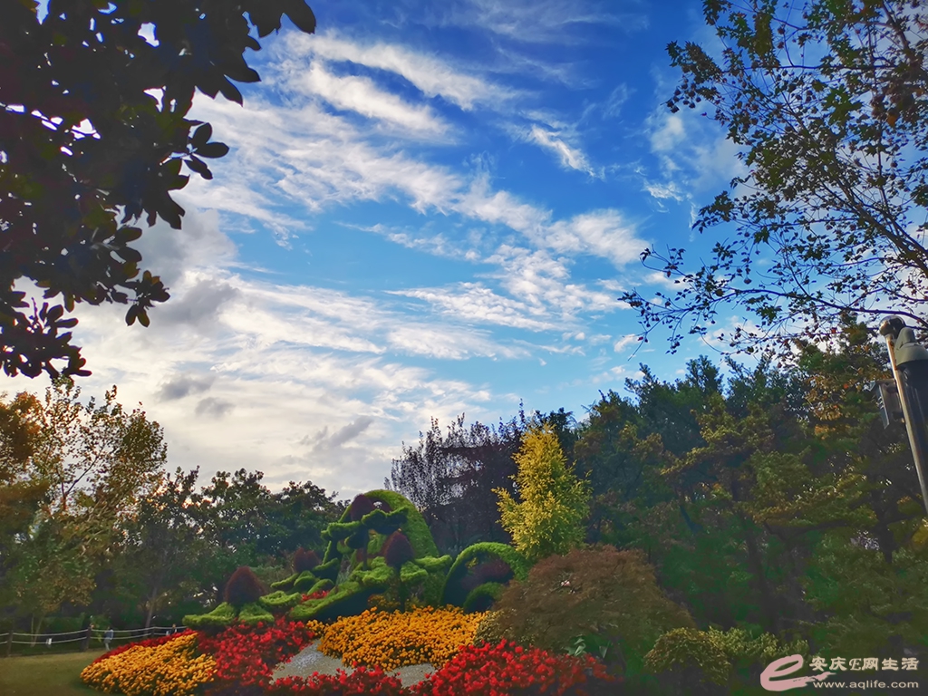 ΢ͼƬ_20201118103916.jpg