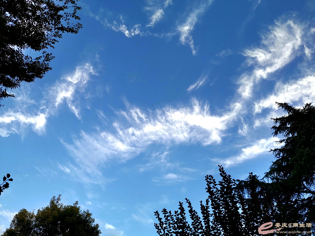 ΢ͼƬ_20201118103907.jpg