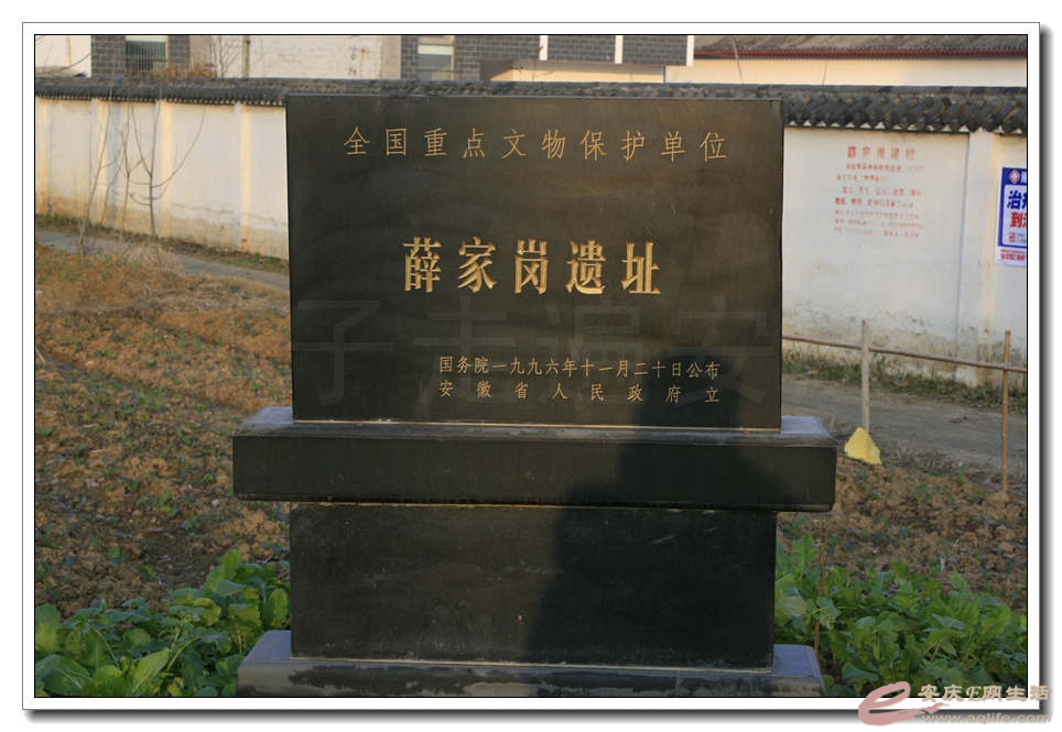 20141214 074.jpg