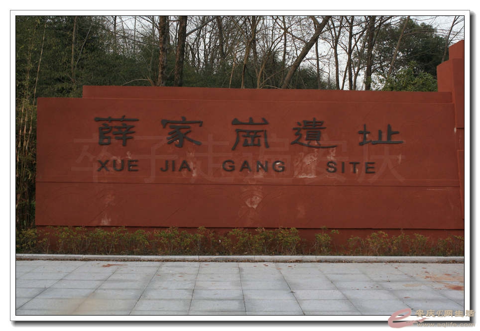 20141214 166.jpg