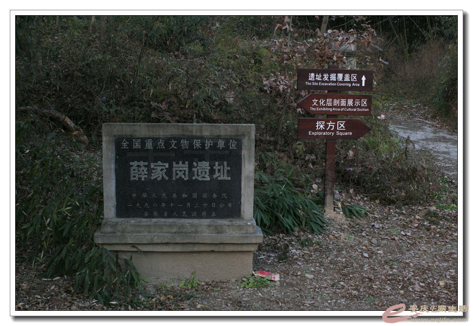 20141214 169.jpg