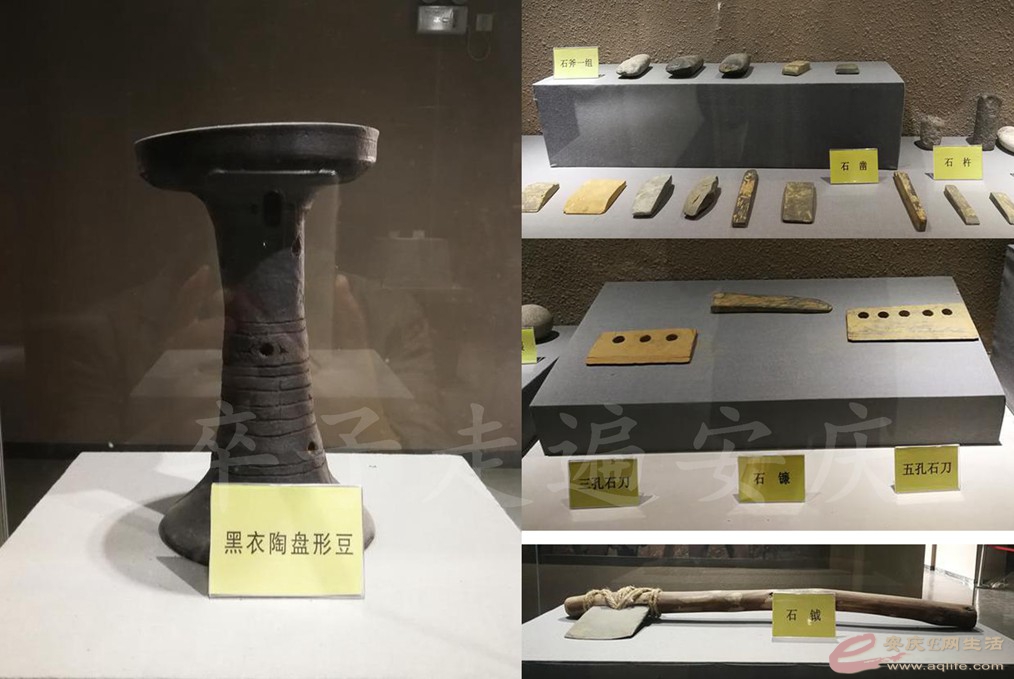 ޱ-1.jpg