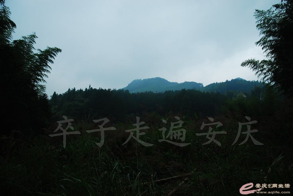 20170708 161.jpg