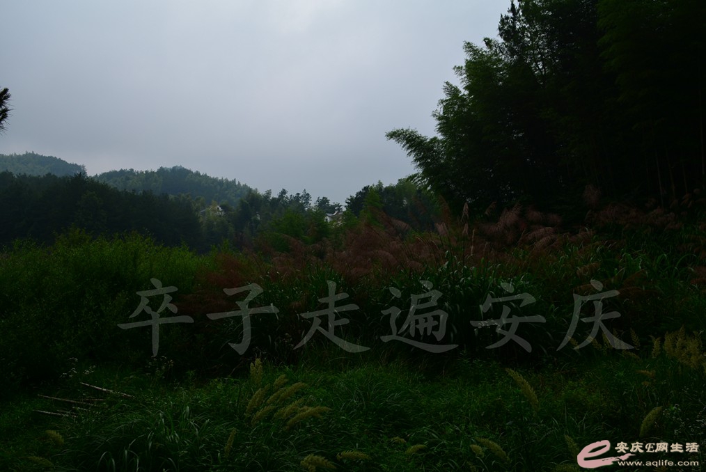 20170708 195.jpg
