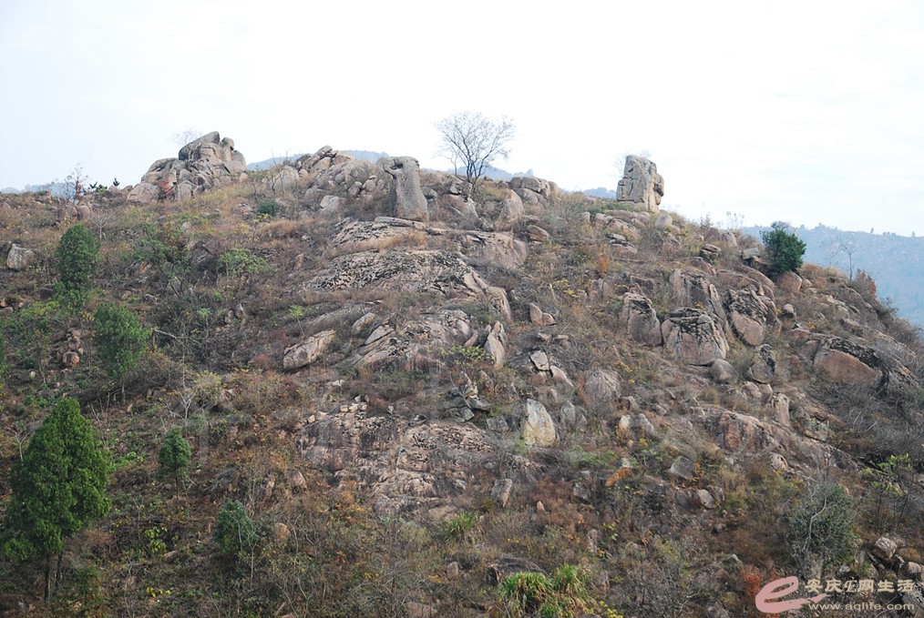 DSC_6405.jpg