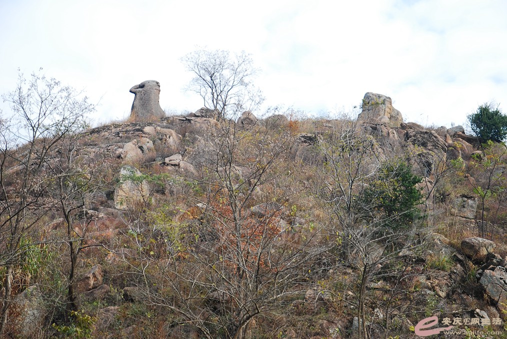 DSC_6513.jpg