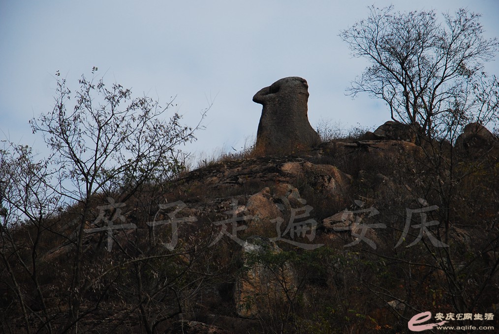 DSC_6514.jpg
