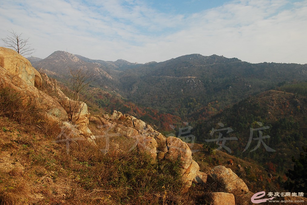 DSC_6552.jpg