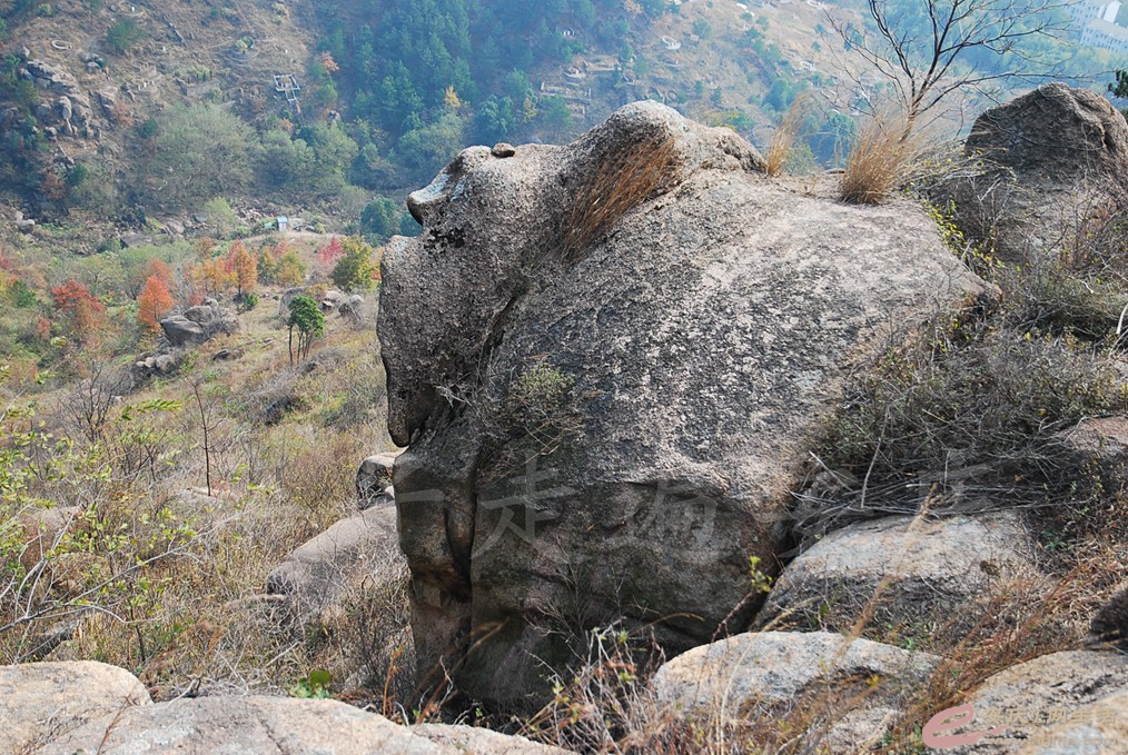 DSC_6594.jpg