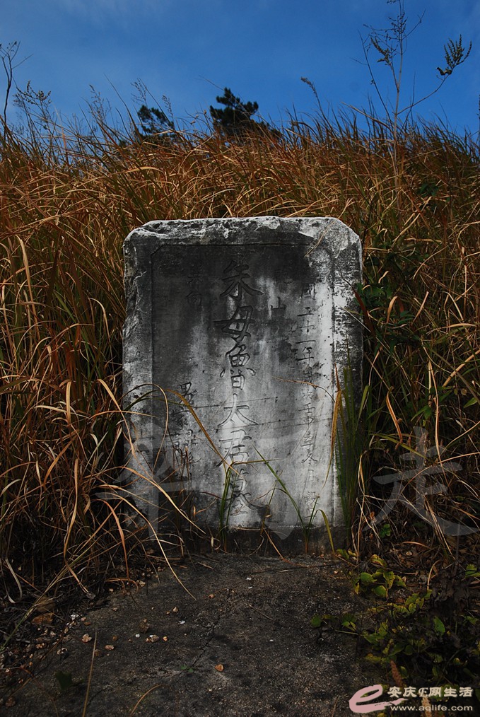 DSC_6614.jpg