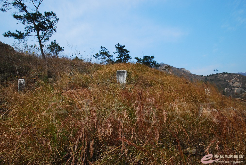 DSC_6621.jpg