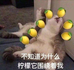 timg.jpg