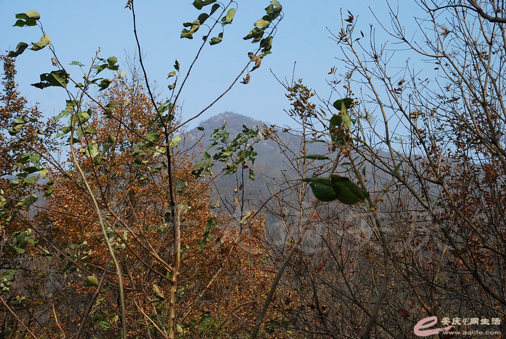 DSC_6630.jpg
