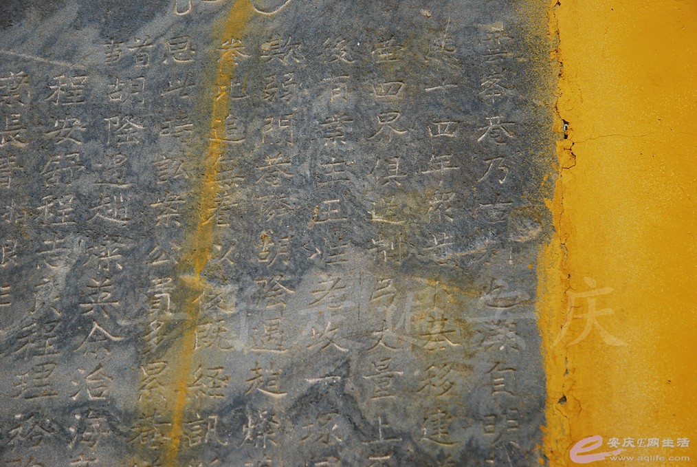 DSC_6657.jpg