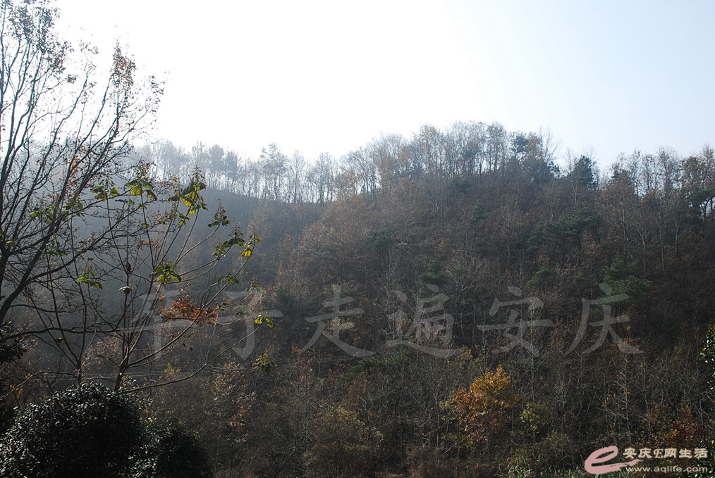 DSC_6677.jpg