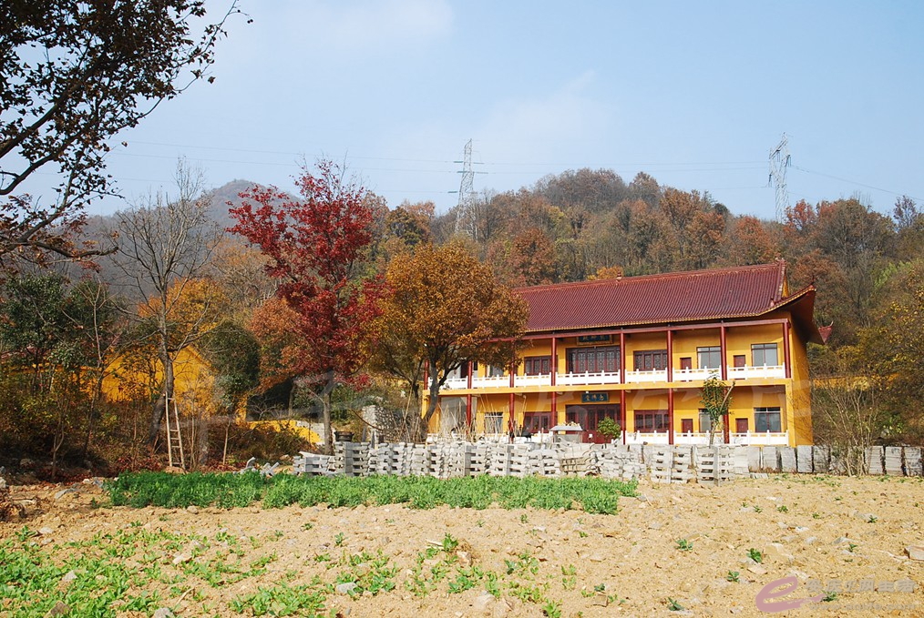 DSC_6690.jpg