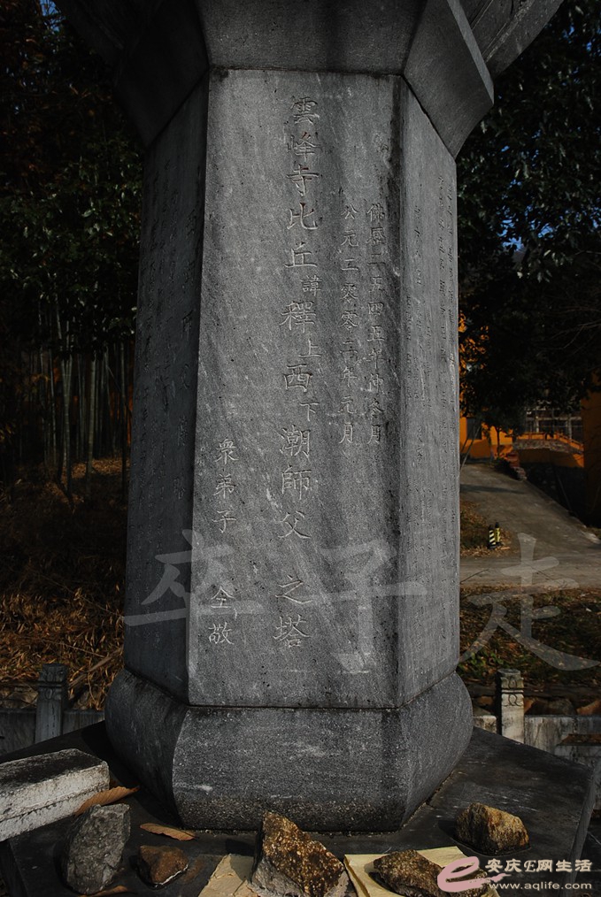 DSC_6726.jpg