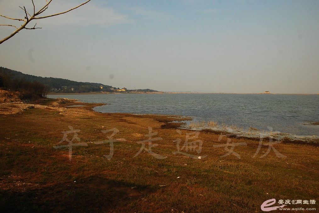 DSC_6851.jpg