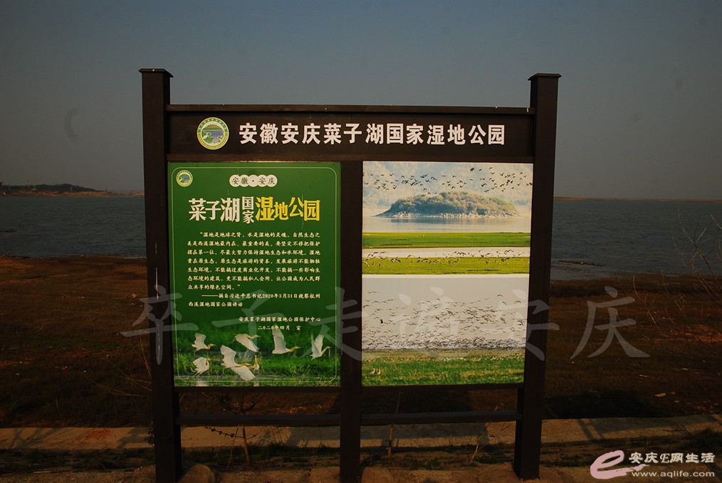 DSC_6895.jpg