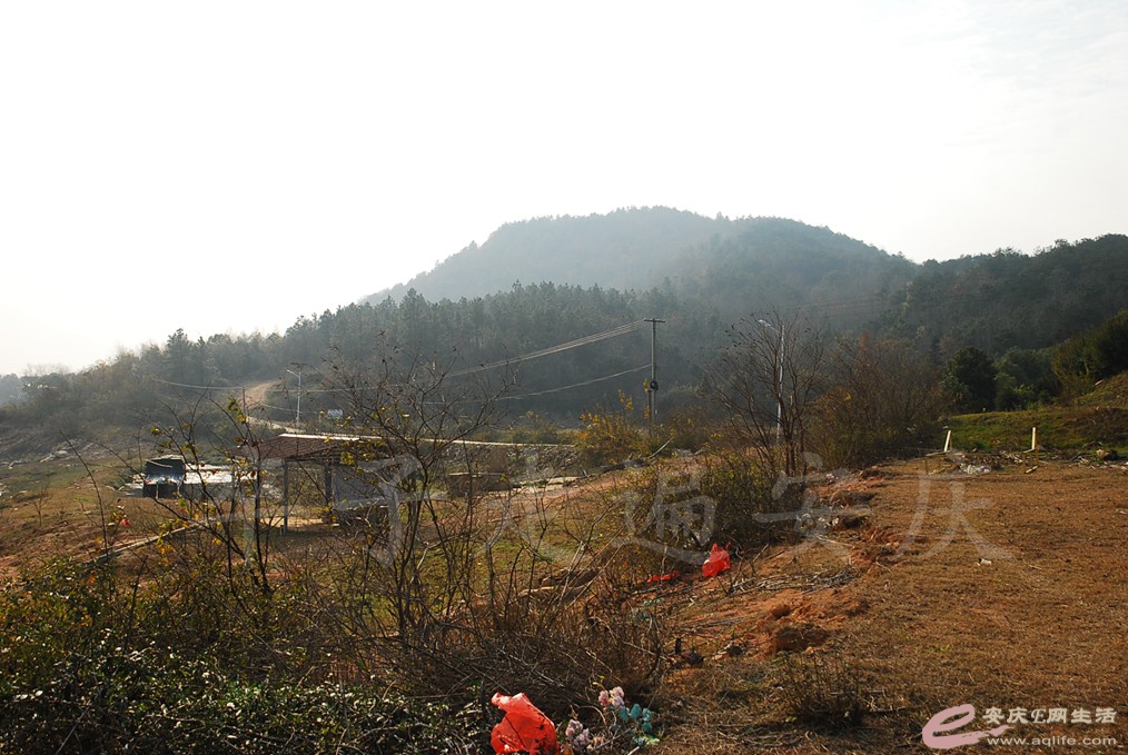 DSC_6902.jpg