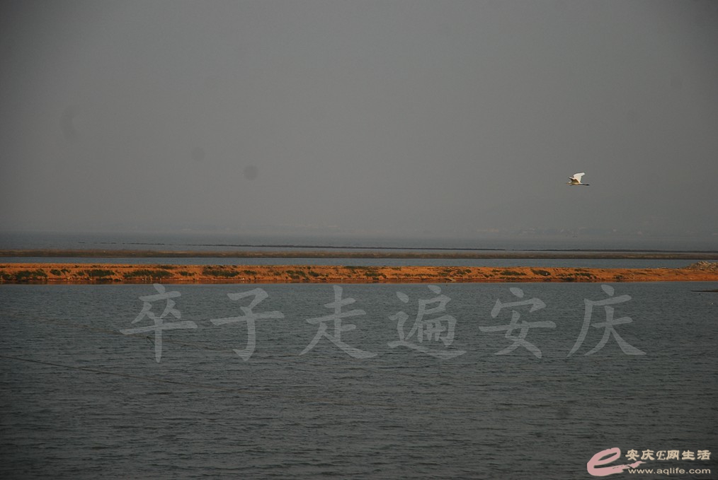 DSC_6903.jpg
